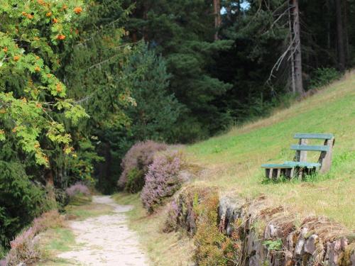 Wanderparadies Schwarzwald