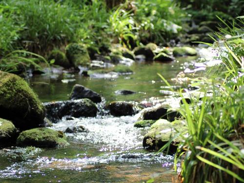 Wanderparadies Schwarzwald