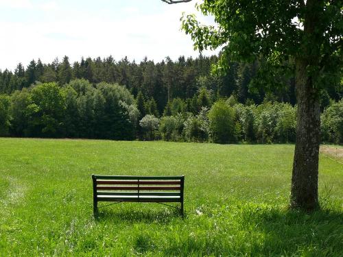 Wanderparadies Schwarzwald