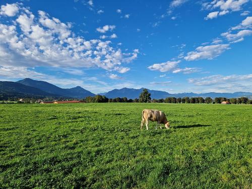 Blick Richtung Berge