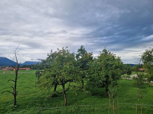 Teil des Obstgartens