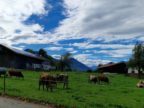 Nordwest-Ansicht der Hofstelle