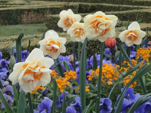 Frühling