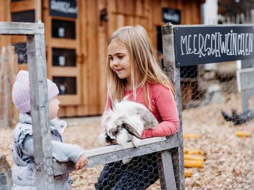 Im Meerschweinchen-Paradies Im Meerschweinchen-Paradies