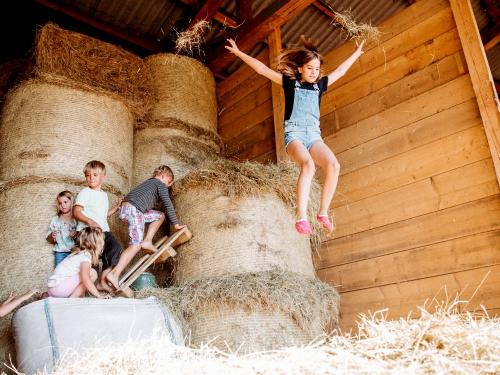 Juhu - ab ins Heu! Juhu - ab ins Heu!