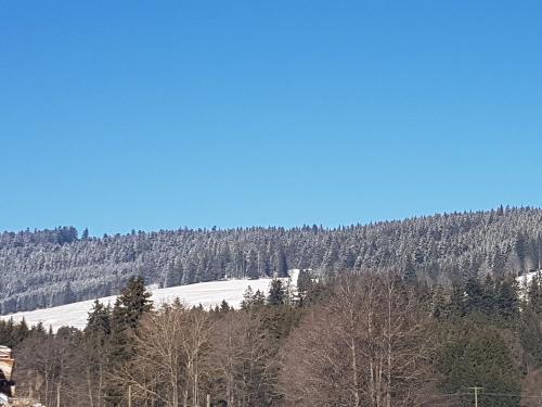 Winterwunderland