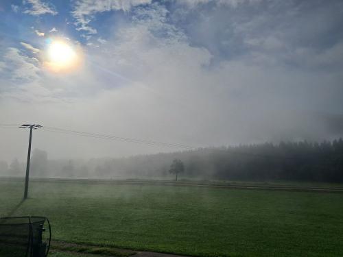 Nebel um den Brücklehof
