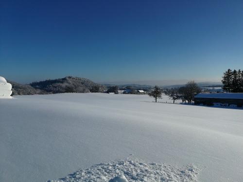 Winter 2020 Winter 2020