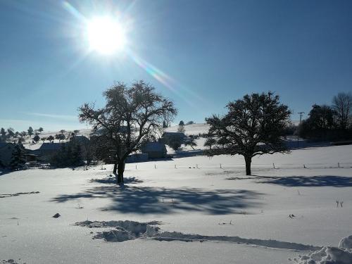 Winterlandschaft Winterlandschaft