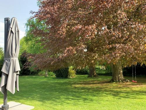 Diekkier Garten im Herbst