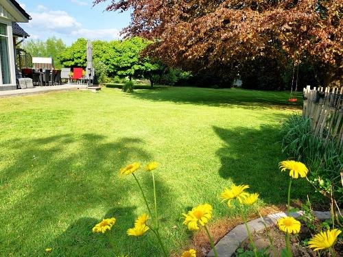 Rasenfläche Diekkier