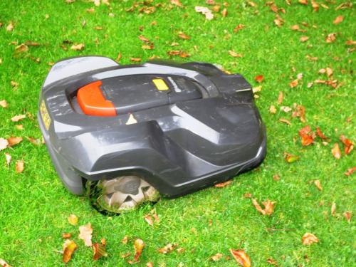 Mähroboter Robbi und Sven pflegen den Rasen