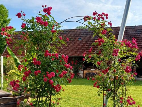 Rosenbogen - Sitzplatz Rosenbogen - Sitzplatz