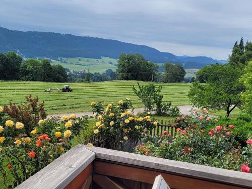 Aussicht von Balkon
