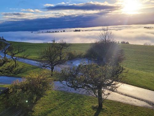 Nebel im Tal
