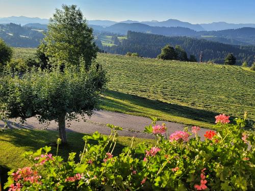 AussichtaufBergwelt