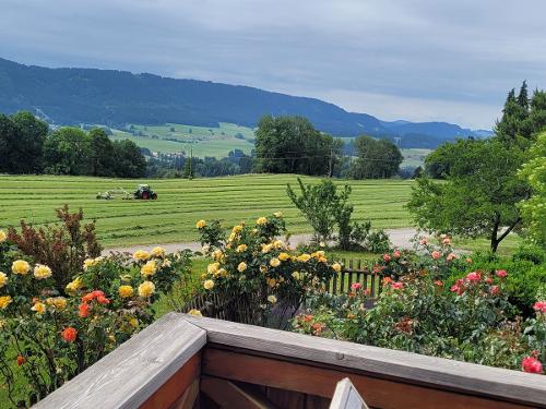 Aussicht von Balkon