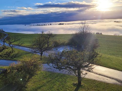 Nebel im Tal