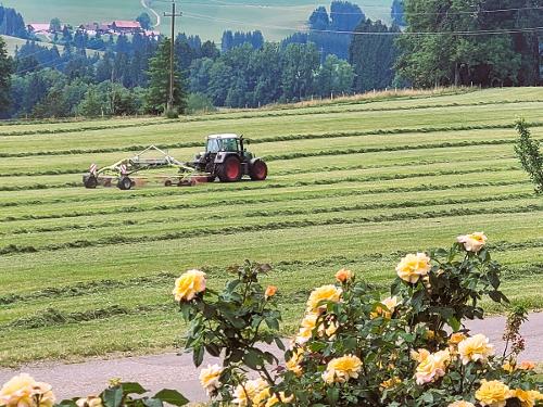 Erntearbeiten vor der Tür