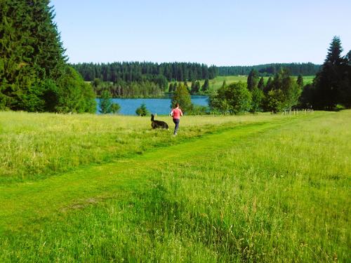 Eschacher Weiher