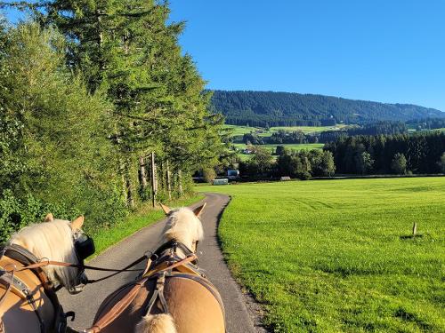 Kutschfahrt