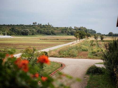 Blick vom Gästezimmer Sonnenblume