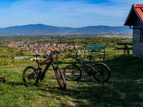 Karl- Otto Hütte mit Blick in den Schwarwald