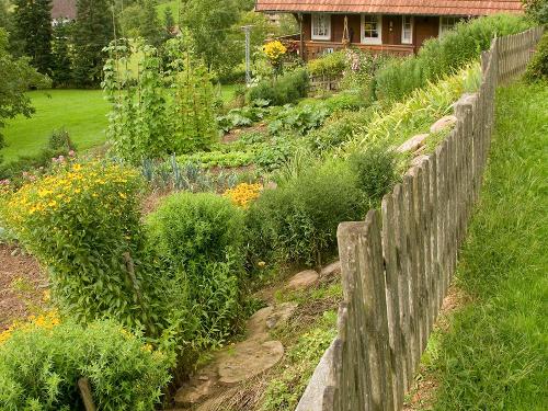 Unser Bauerngarten
