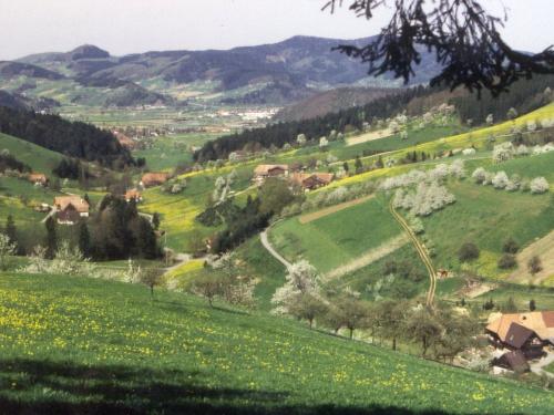 Im Frühling