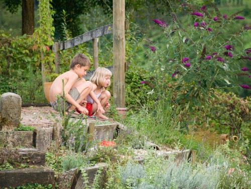 Beobachtungen im Garten