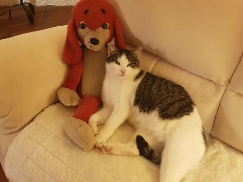 Maxi mit seinem Freund