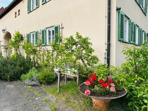 Blick auf die Wohnung mit Apfelbaum, Pfingstrosen & frischen Kräutern für die Gäste Blick auf die Wohnung mit Apfelbaum, Pfingstrosen & frischen Kräutern für die Gäste