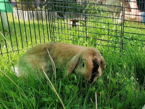 Unsere Fanny Unsere Fanny