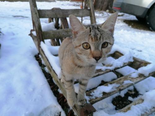 unsere neugierige Lilly unsere neugierige Lilly