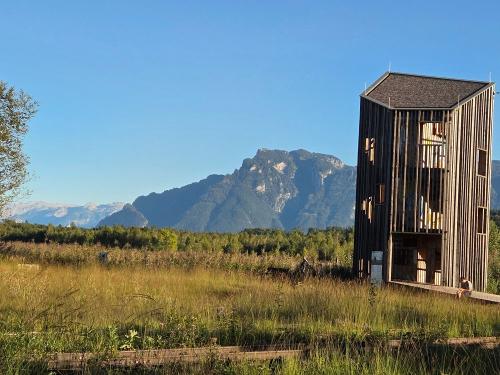 Aussichtsturm in unserem Ainringer Moos Aussichtsturm in unserem Ainringer Moos
