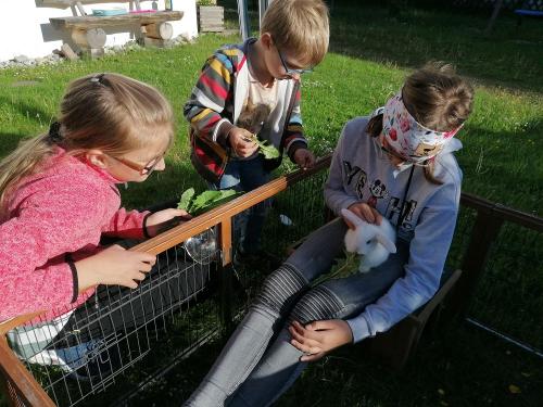 Wenn unsere Haserl verwöhnt werden Wenn unsere Haserl verwöhnt werden