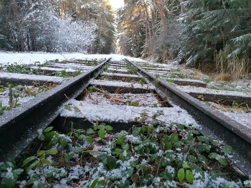 Gleise der Bockerlbahn im Moos Gleise der Bockerlbahn im Moos