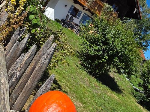 Blick vom Bauerngarten Blick vom Bauerngarten