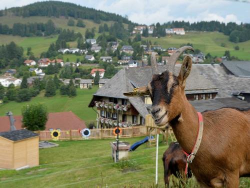 Viele Grüße auch von Anni
