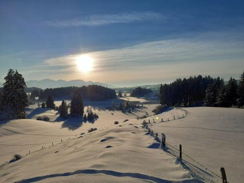 Winter im Naturschutzgebiet