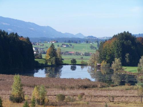 Widdumer Weiher