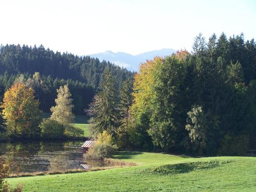 Naturschutzgebiet Widdumer Weiher