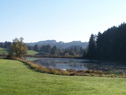 Weiher sommer 2