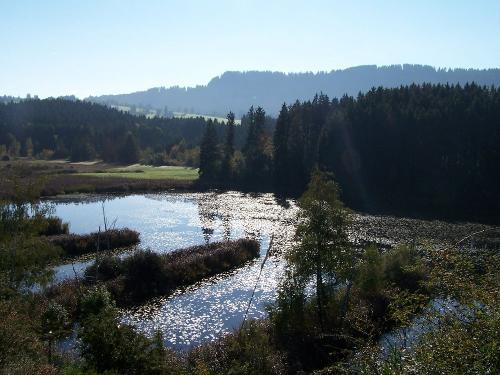 Naturschutzgebiet Widdumer Weiher