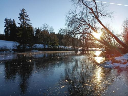 Widdumer Weiher im Winter