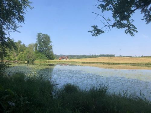 Blick auf s Landhaus Jenn