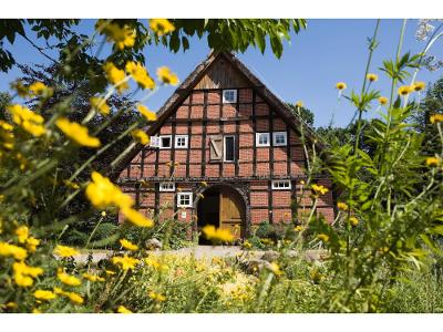 Hof am Kolk im Frühling