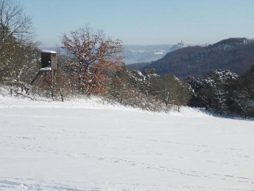 Umgebung im Winter - Blick auf die Leuchtenburg Umgebung im Winter - Blick auf die Leuchtenburg