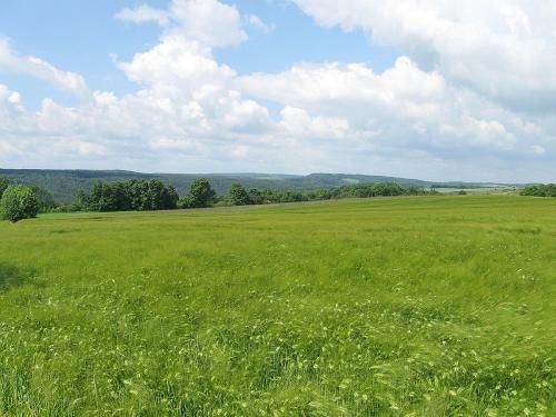 Umgebung im Sommer Umgebung im Sommer