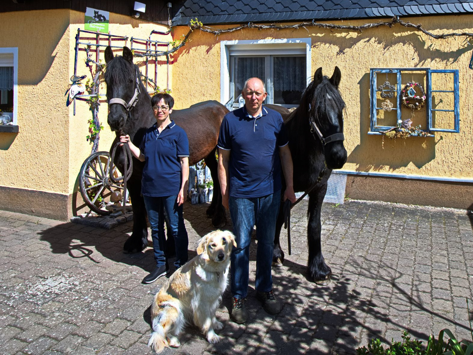 Blick auf das Ferienhaus Blick auf das Ferienhaus